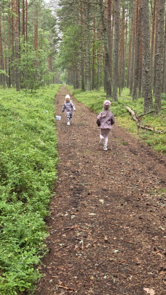 Mustikalkäik jooksuvõistlus